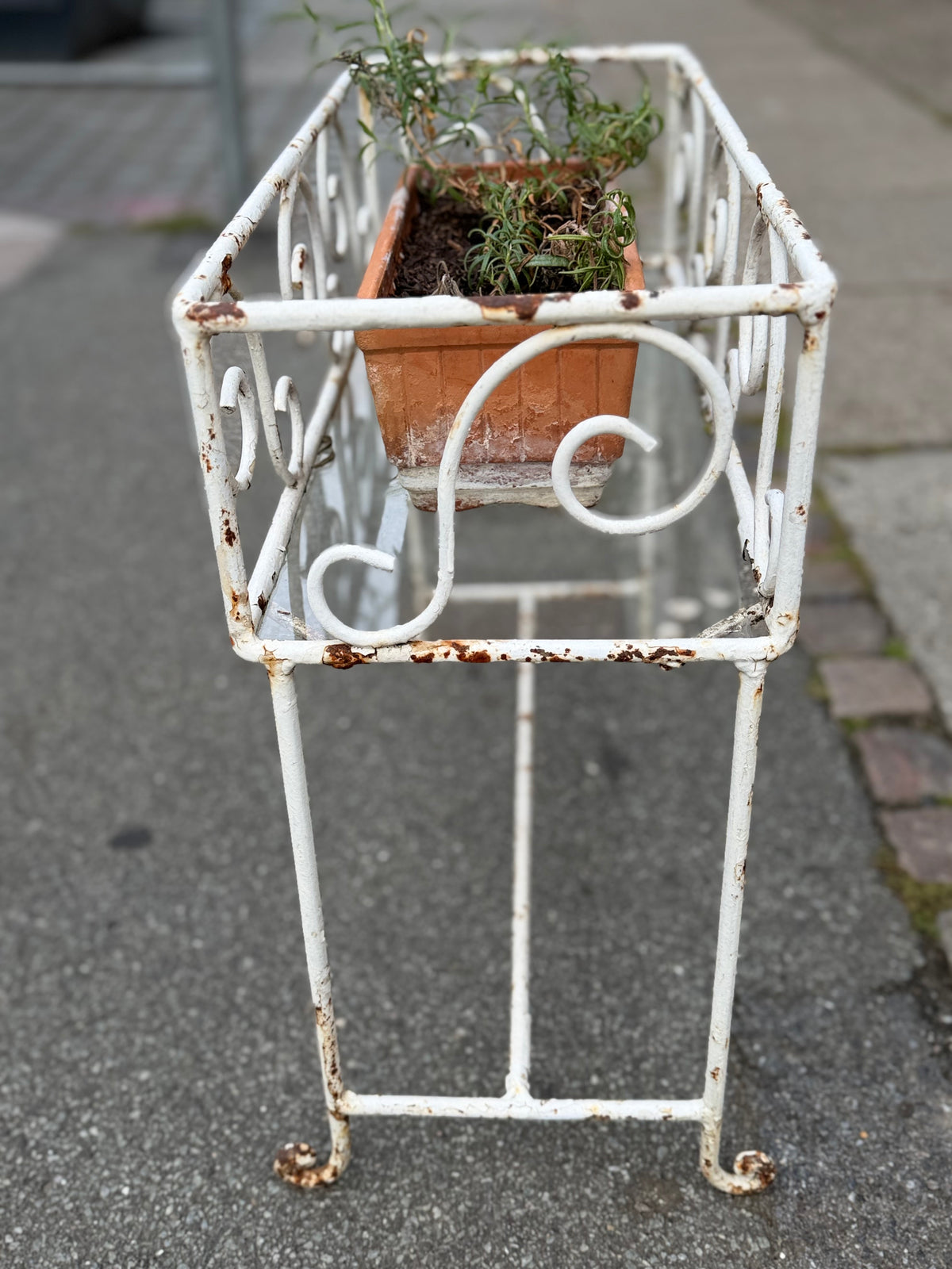 Fransk blomsterkumme