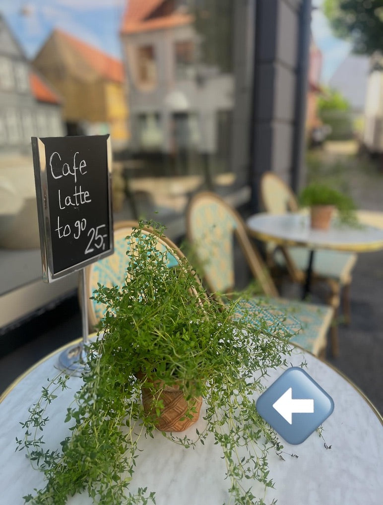 Små lerkrukker til haven